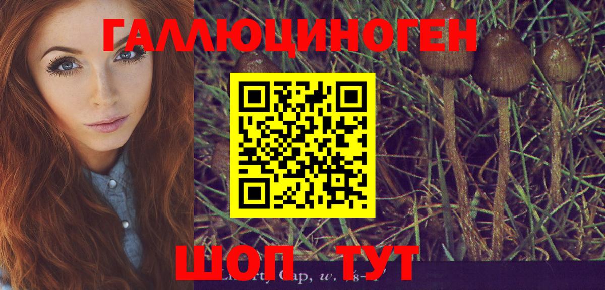 Обь  Галлюциногенные грибы мухоморы  Вход с VPN 